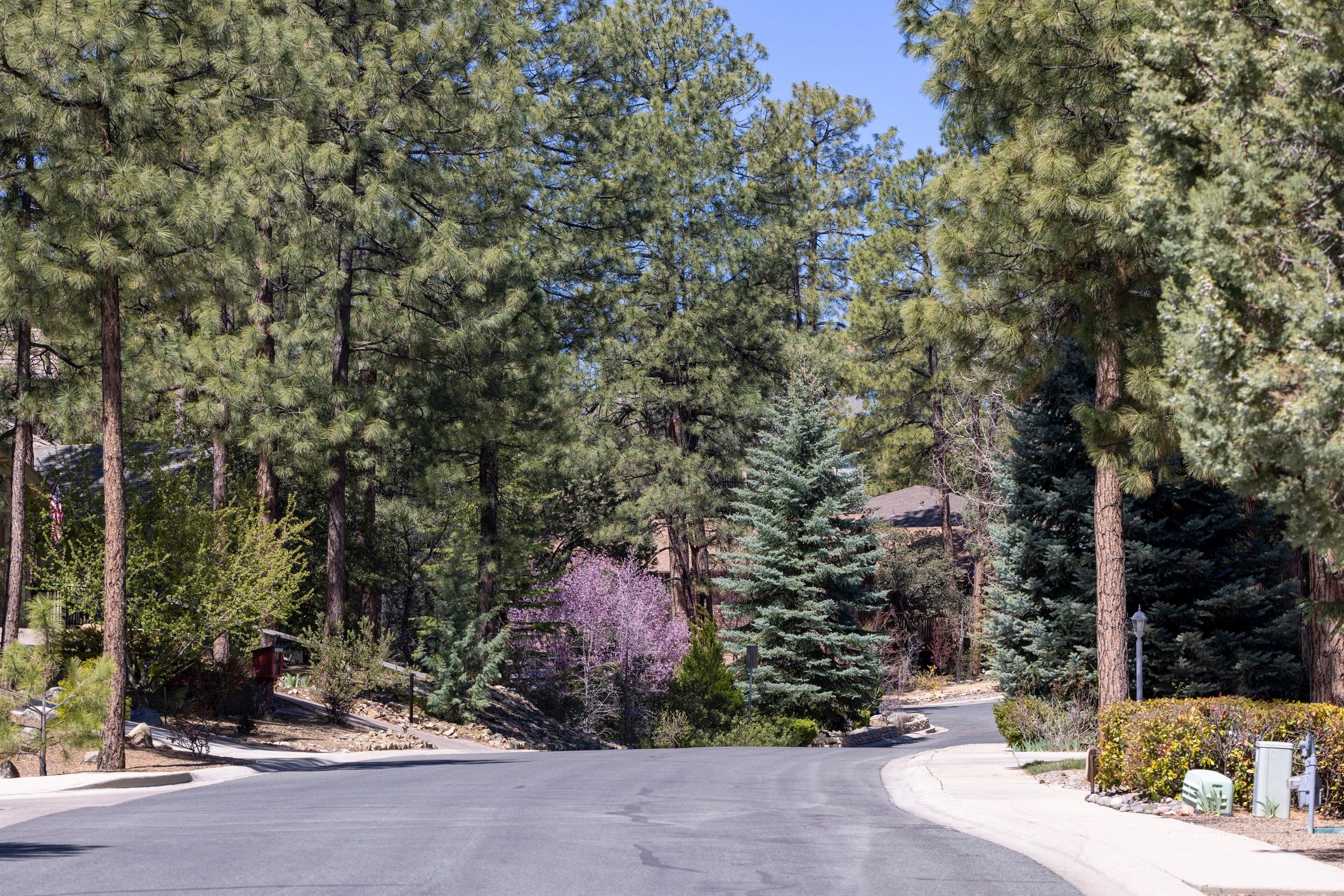 Munds Park Arizona community