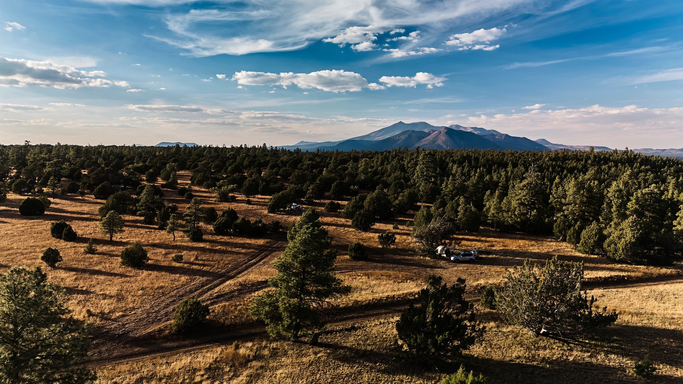 Scenic view of Munds Park woods