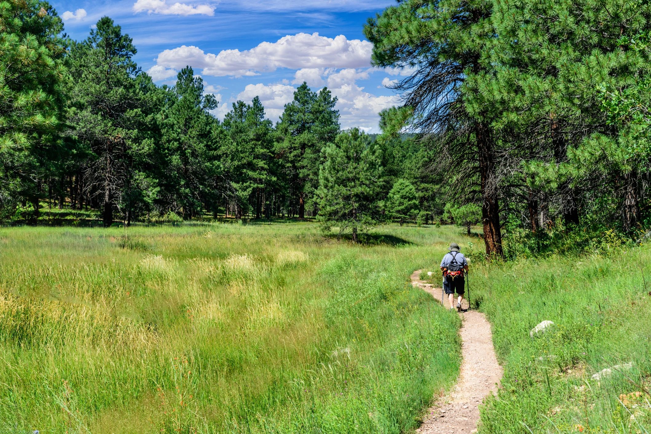 Munds Park Arizona community nature